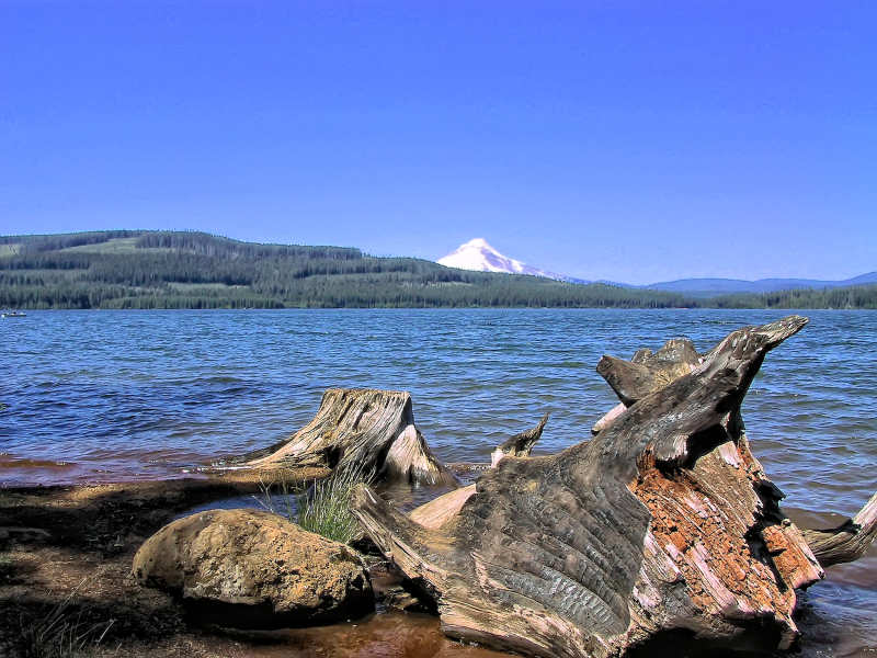 View of Mt. Washington from Suttle Lake, Sisters, Oregon